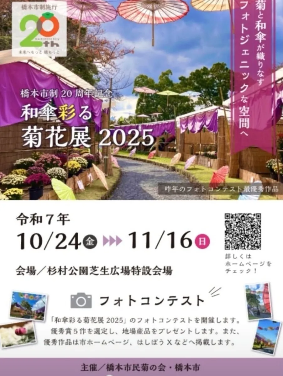 和傘と菊が彩る「菊花展 2025」に参加しています。